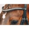 Schockemohle Select And Mix Diamond Browband