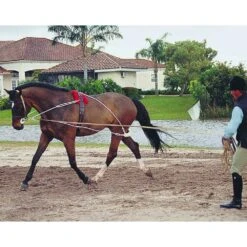 Pessoa Lunging System