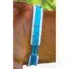 Shires Fleece Lined Surcingle