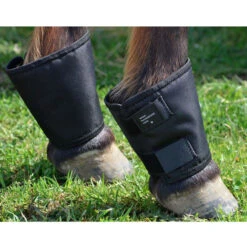 Click Horse Fetlock Shield Pair One Size